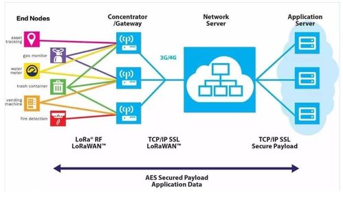 LoRa私有协议与LoRaWAN标准协议 物联网应用服务的关键区别